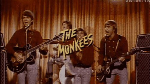 Image result for im a believer monkee gifs